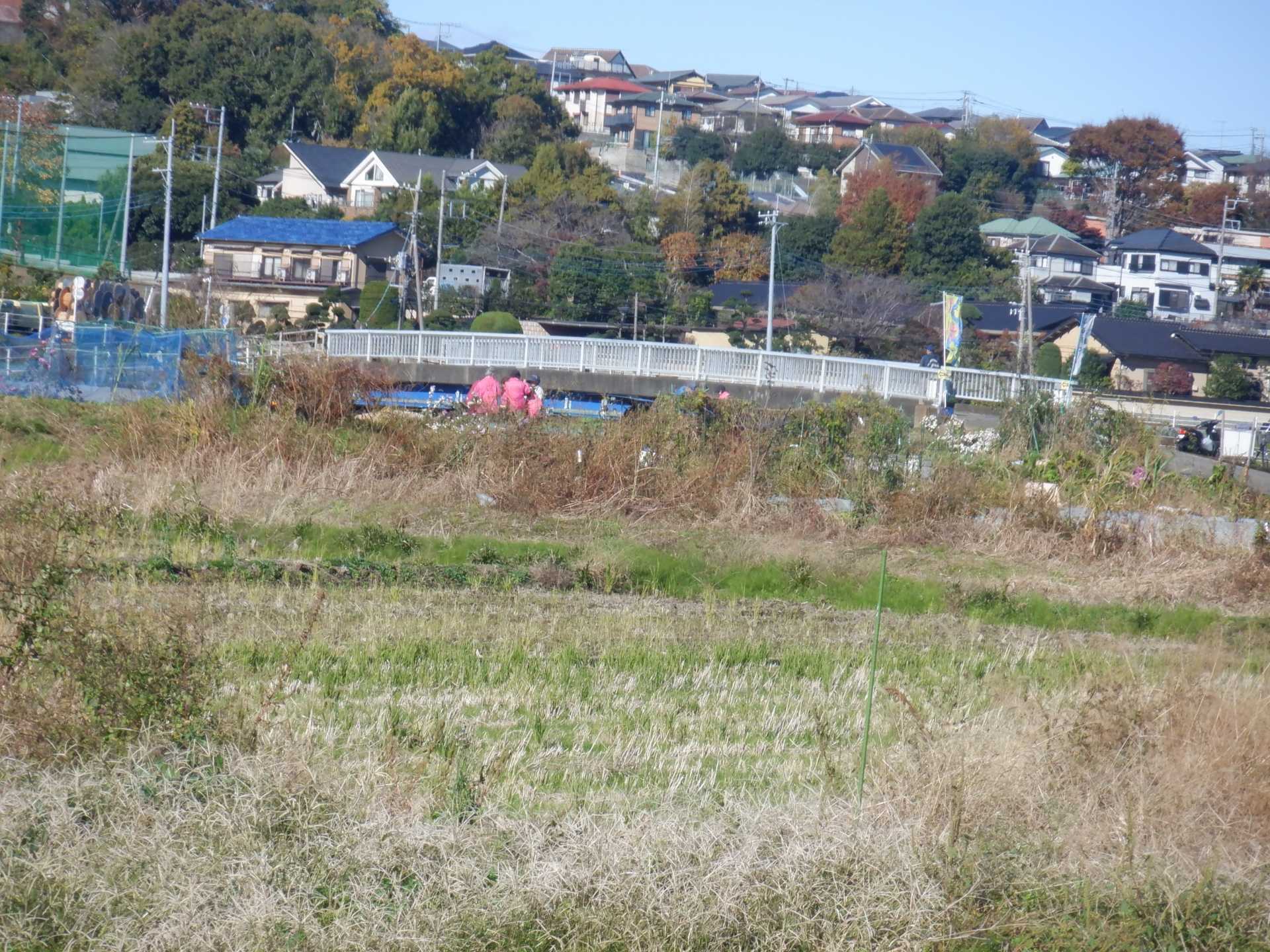 目久尻川ふれあいウオーク