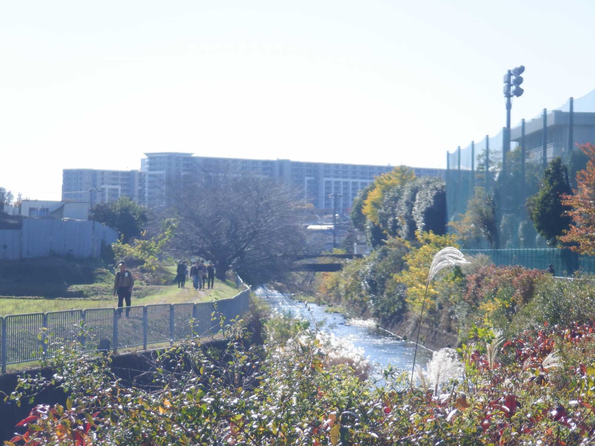 目久尻川ふれあいウオーク