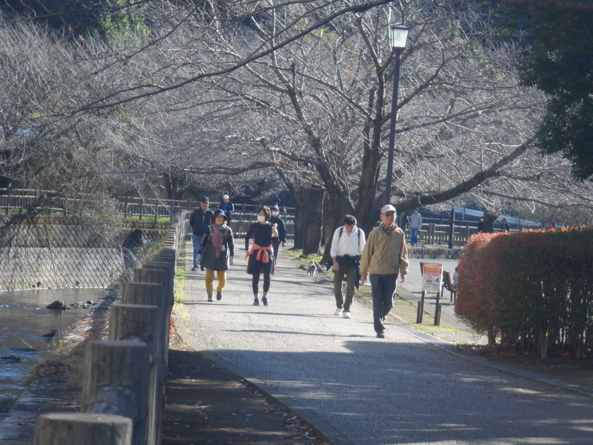 目久尻川ふれあいウオーク