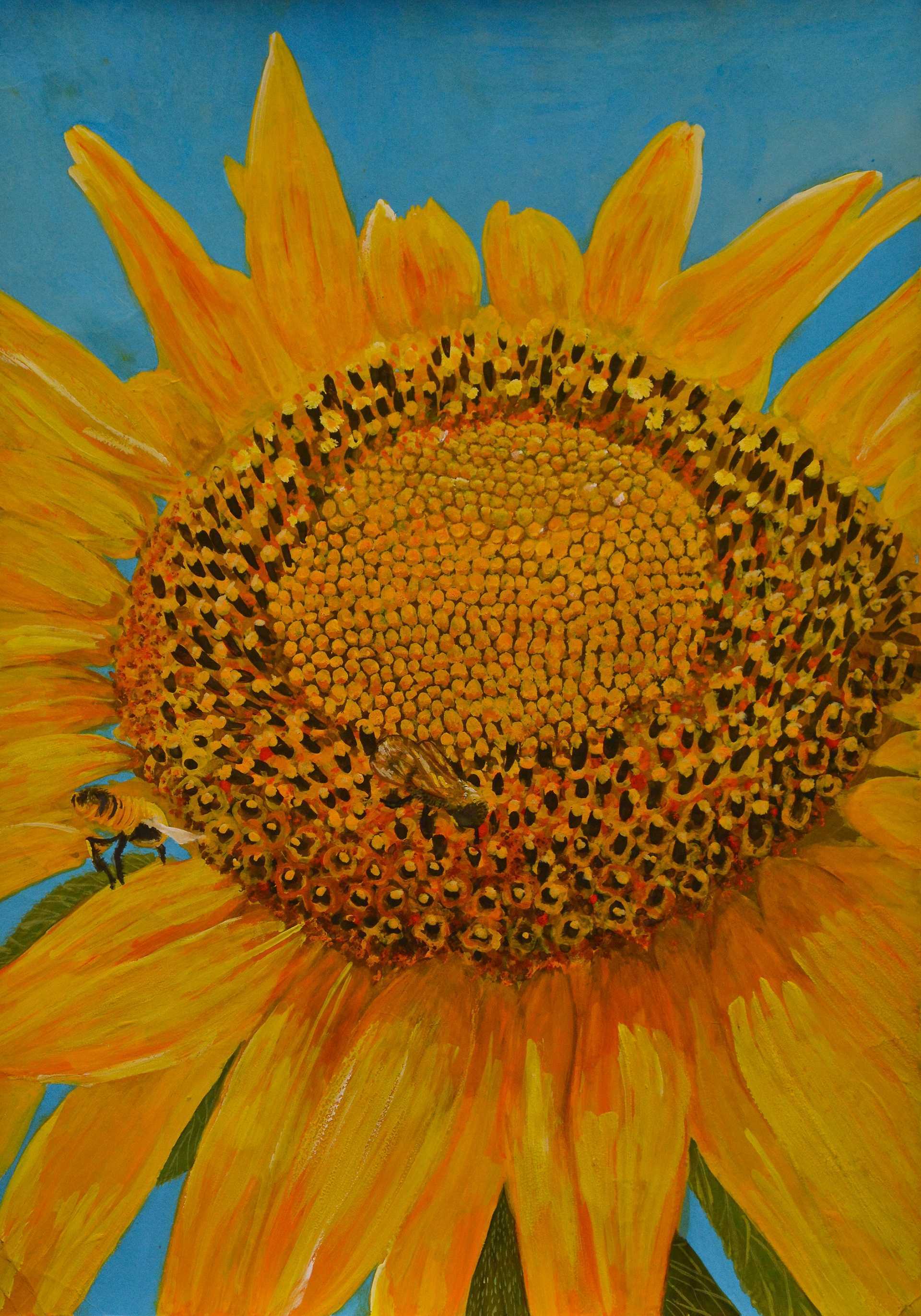 ひまわりフェスタ in Nissan は座間市最大級のイベント