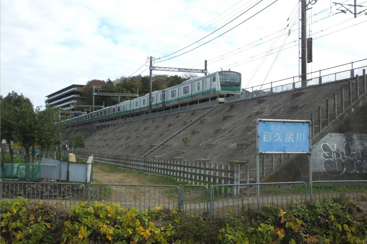 目久尻川ふれあいウオーク