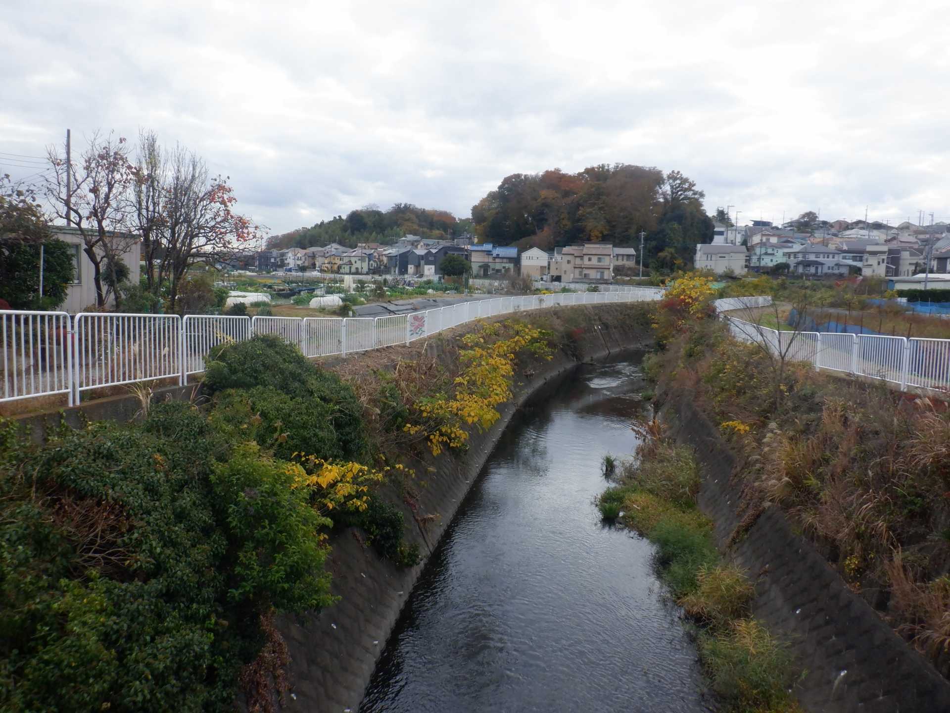 目久尻川ふれあいウオーク
