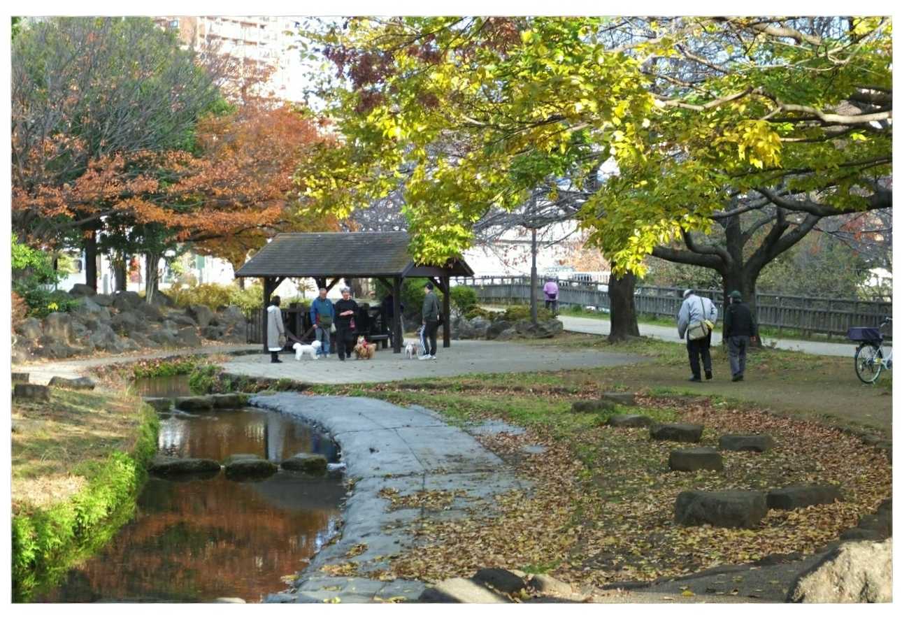 目久尻川ふれあいウオーク