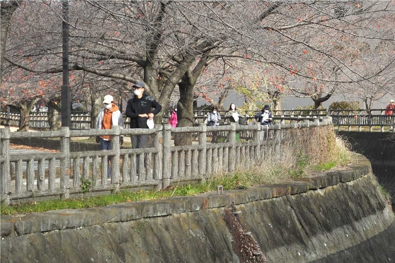 目久尻川ふれあいウオーク