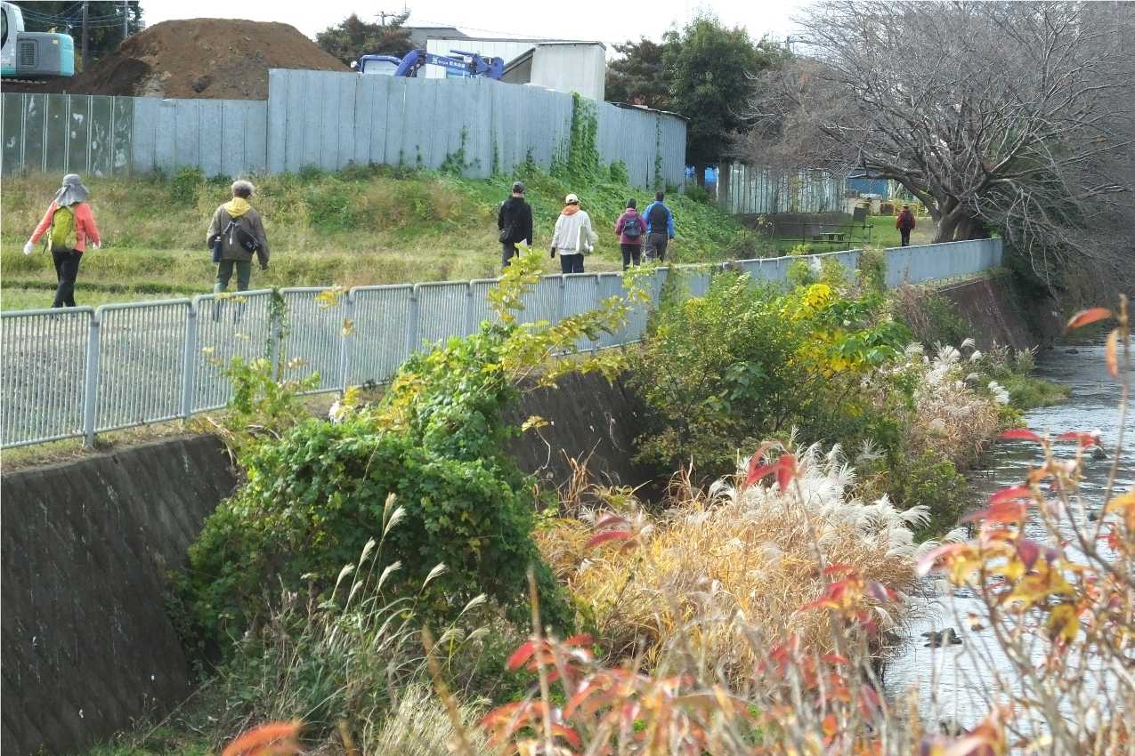 目久尻川ふれあいウオーク