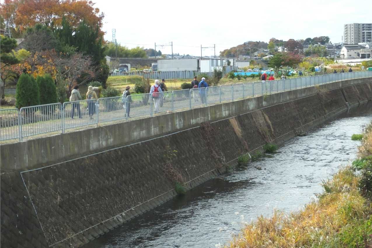 目久尻川ふれあいウオーク