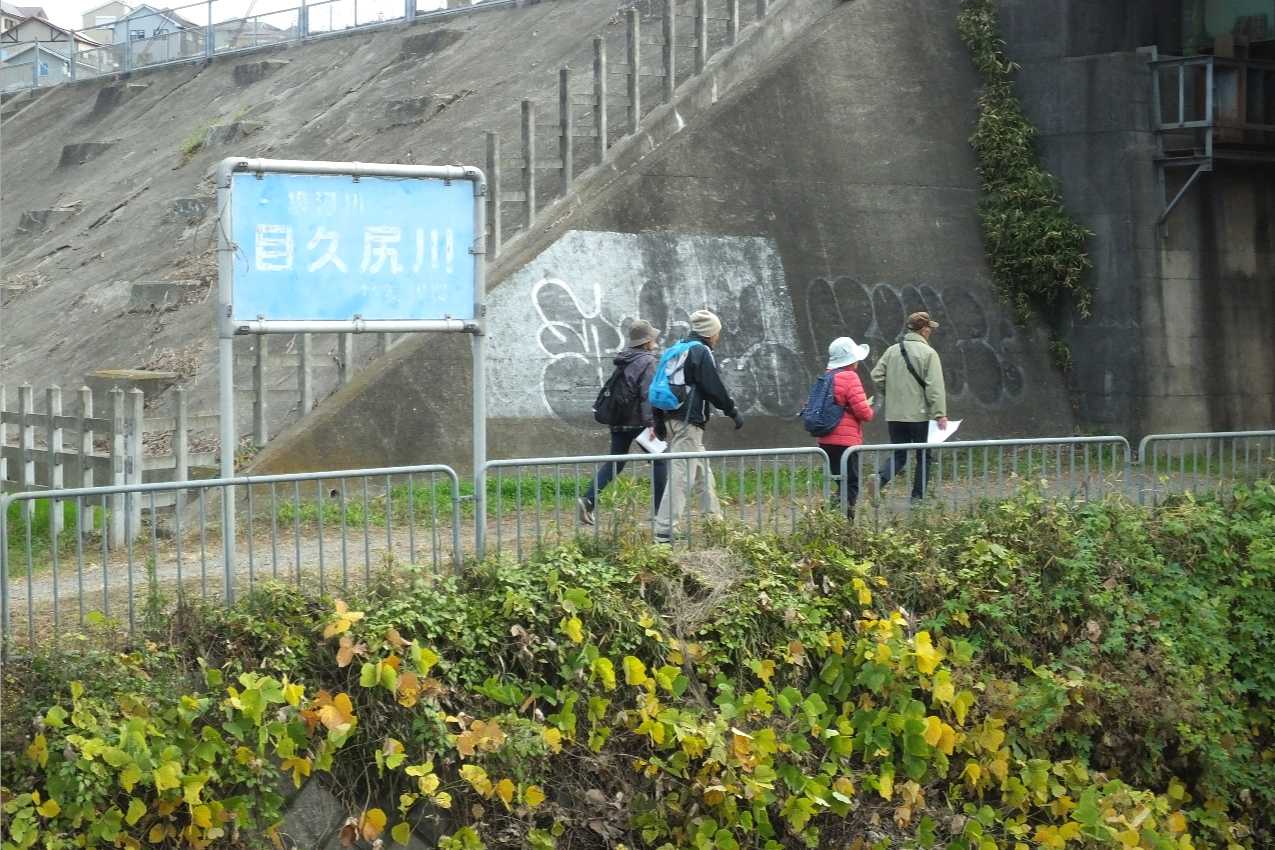 目久尻川ふれあいウオーク