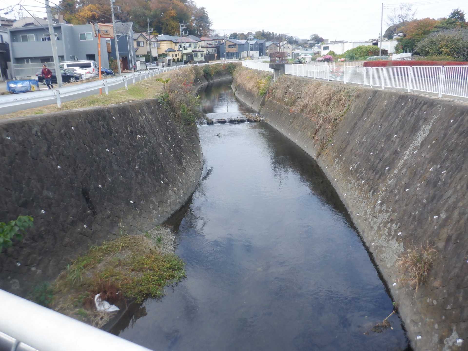 目久尻川ふれあいウオーク