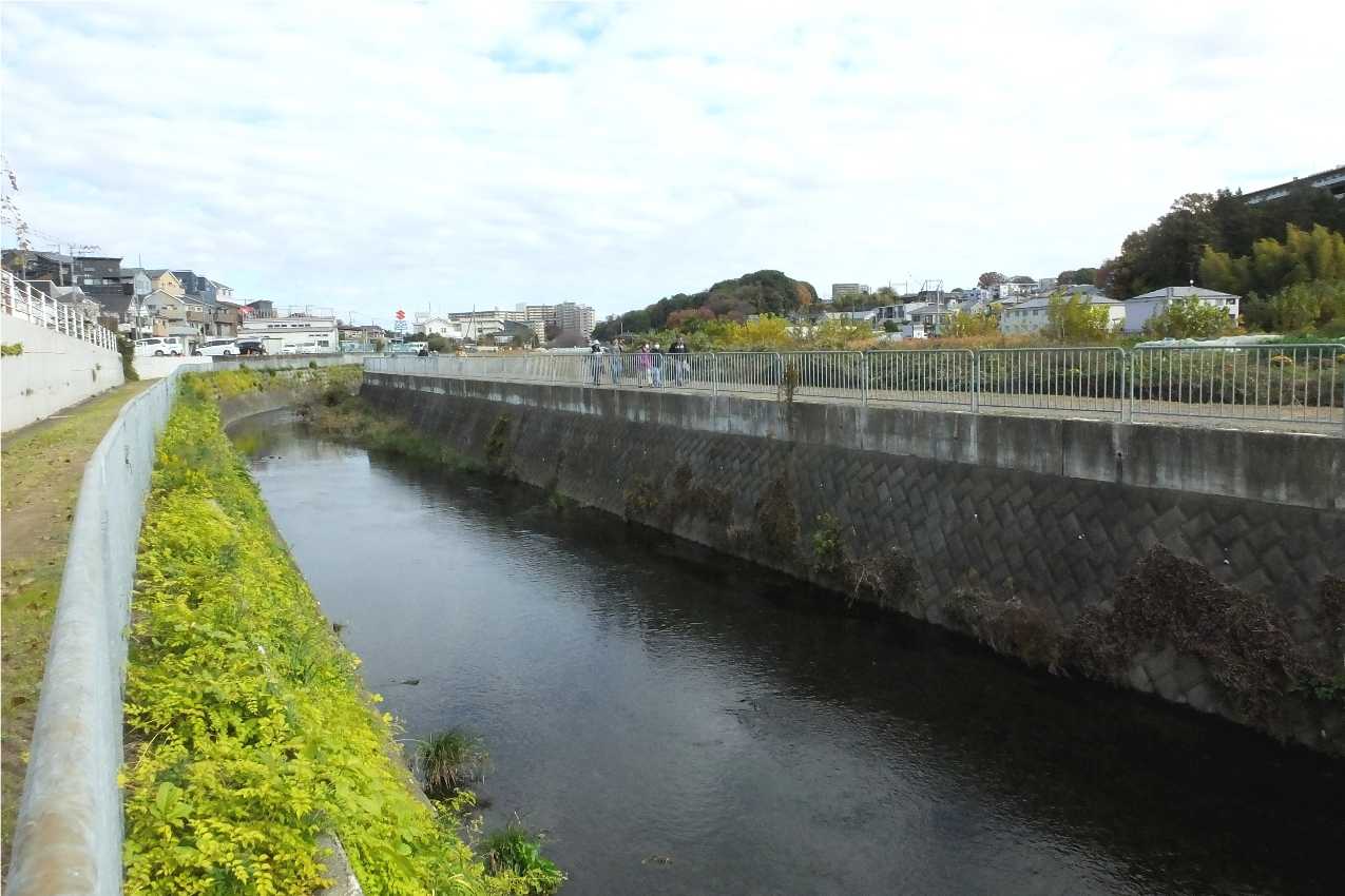 目久尻川ふれあいウオーク