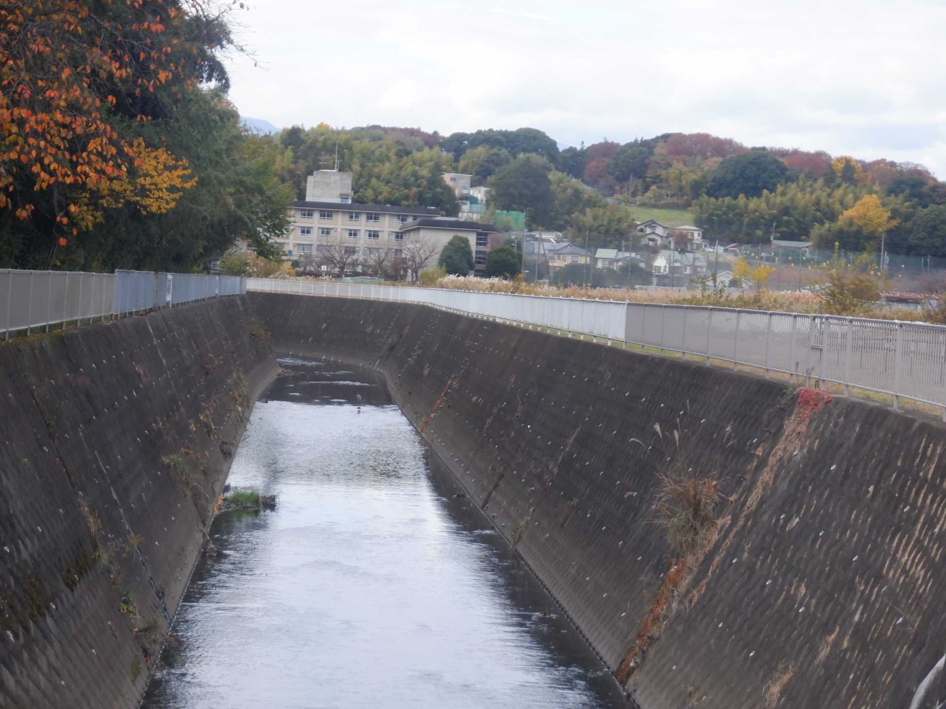 目久尻川ふれあいウオーク