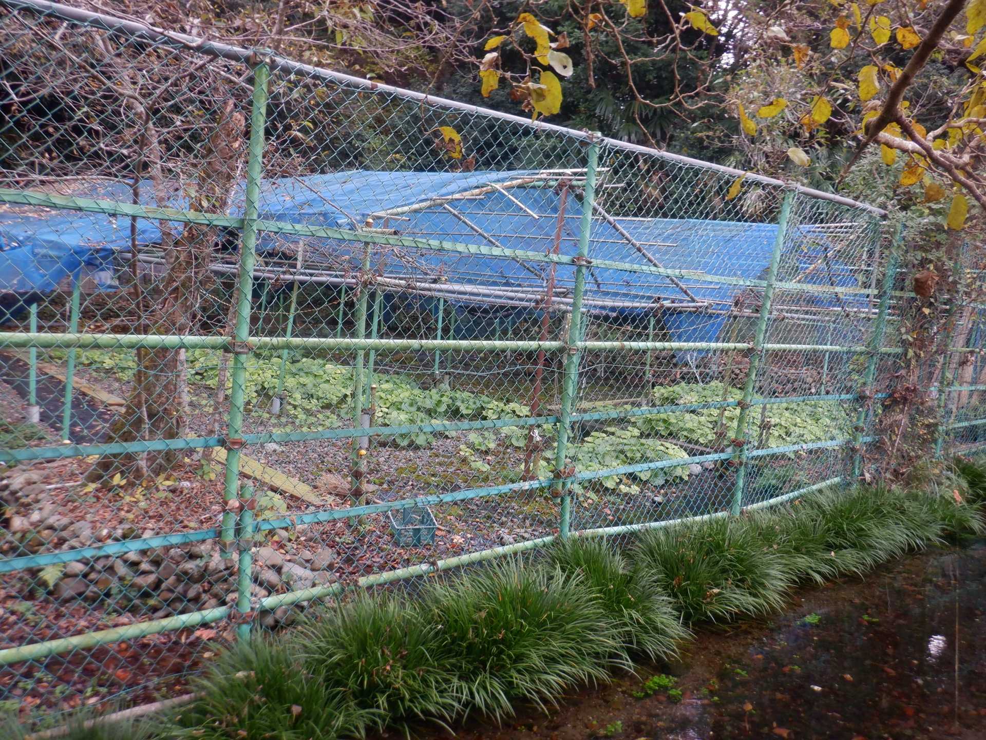 目久尻川ふれあいウオーク