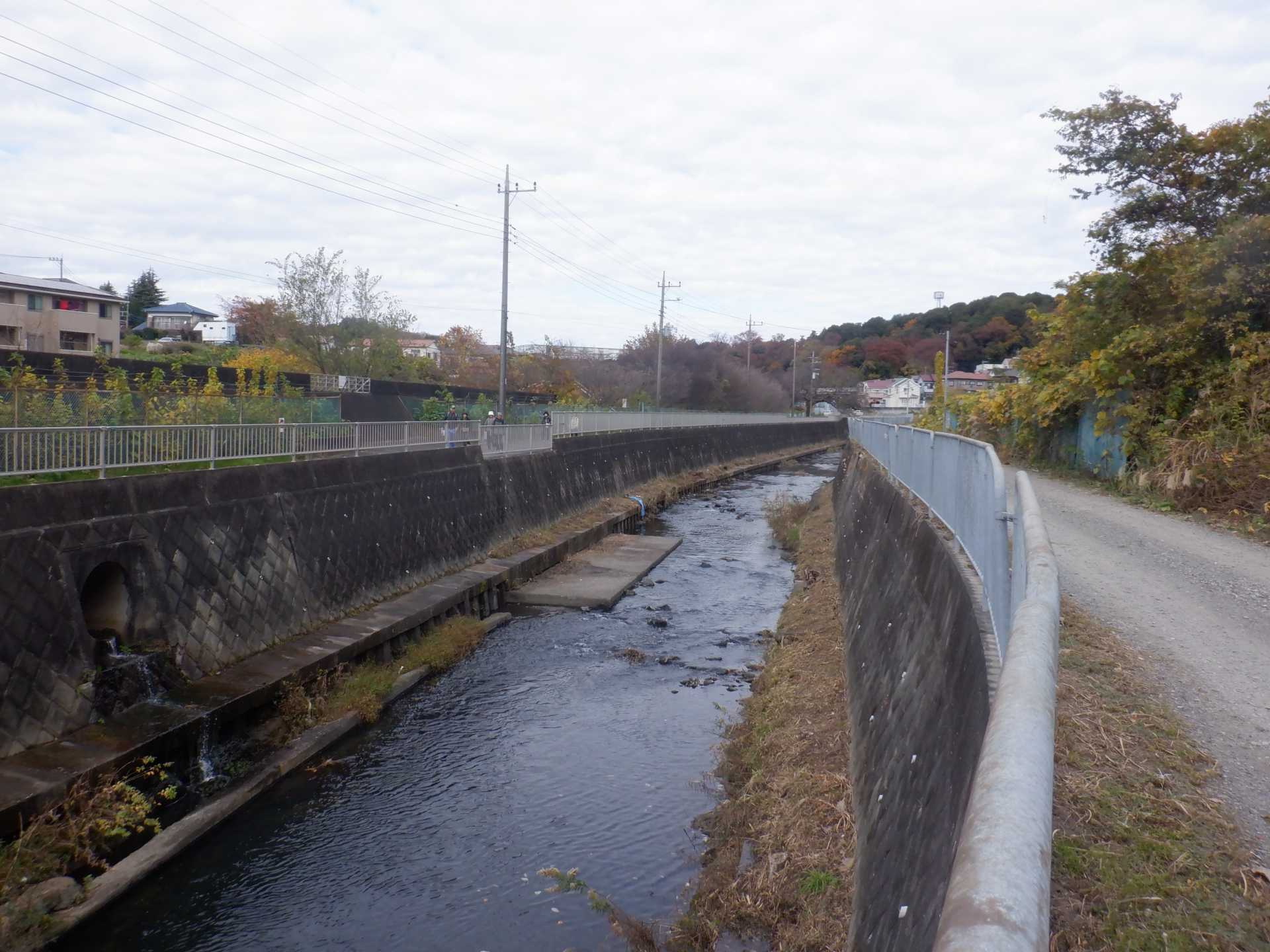 目久尻川ふれあいウオーク