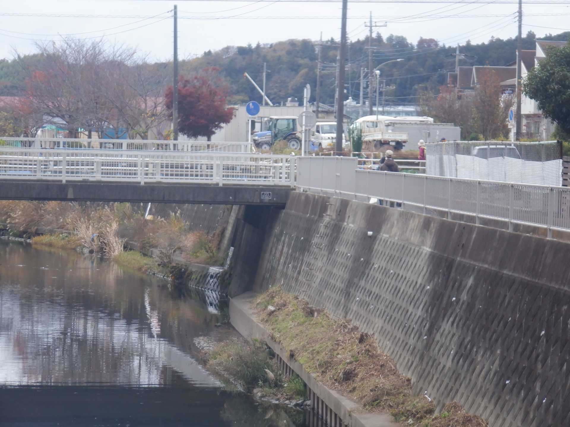 目久尻川ふれあいウオーク