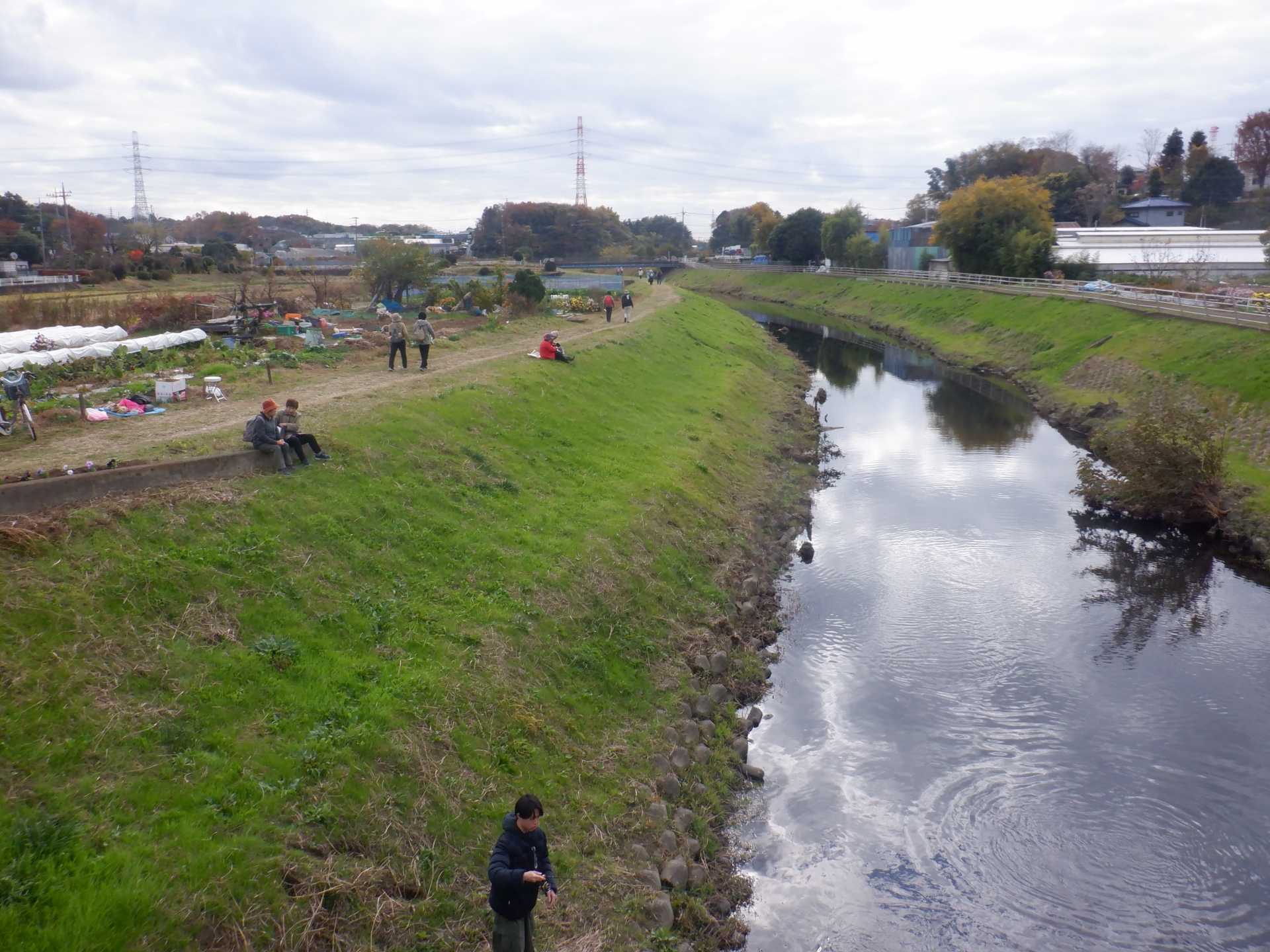 目久尻川ふれあいウオーク
