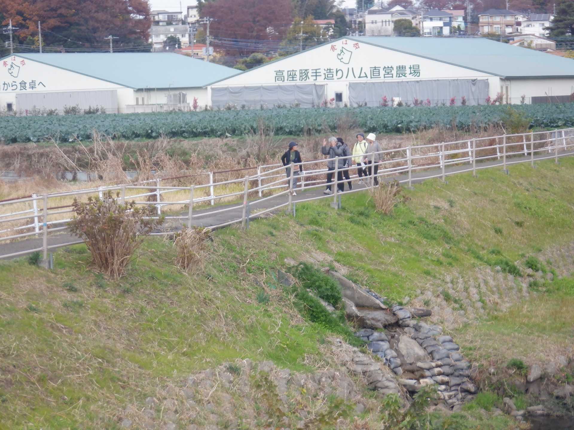 目久尻川ふれあいウオーク