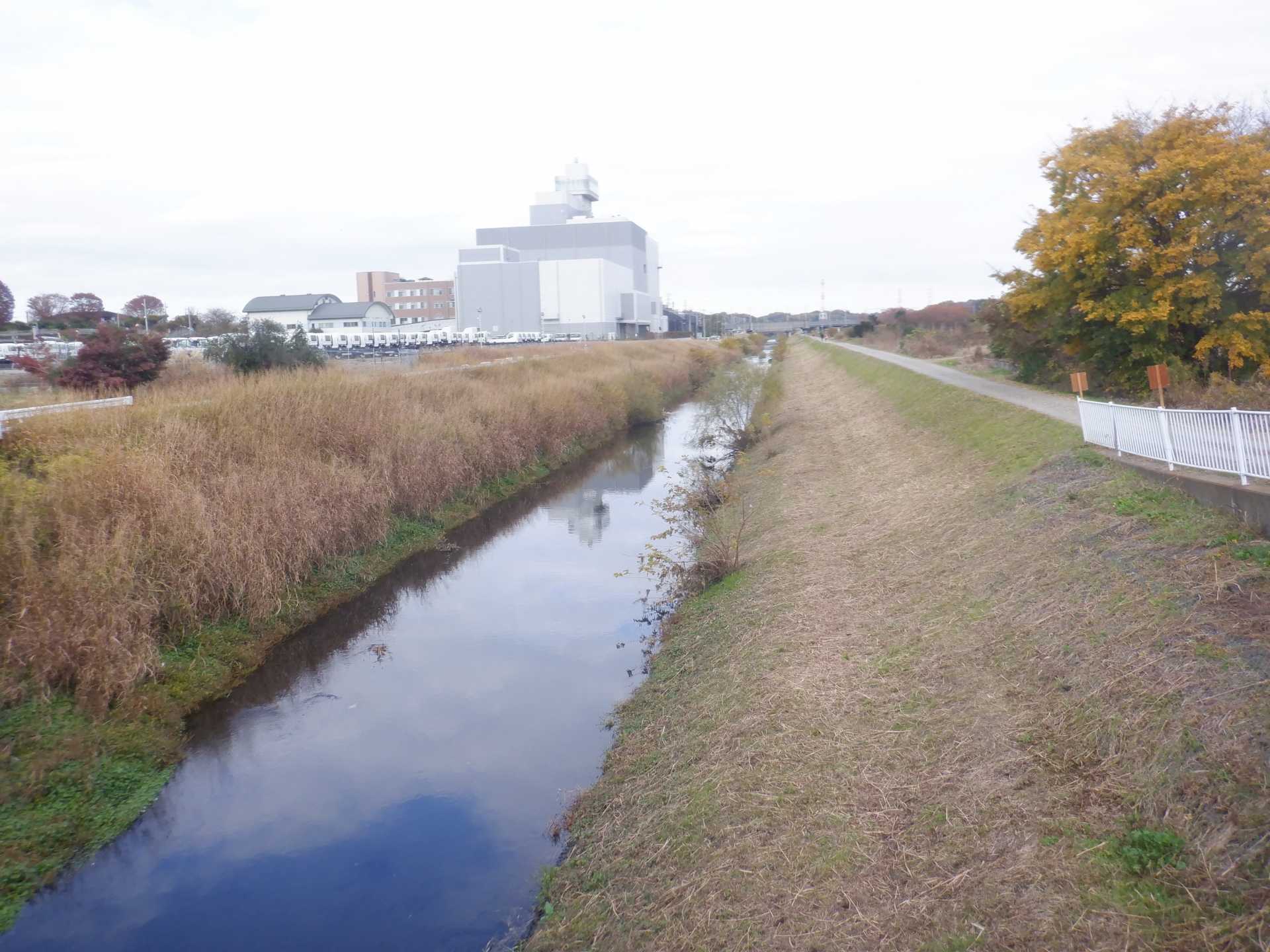 目久尻川ふれあいウオーク