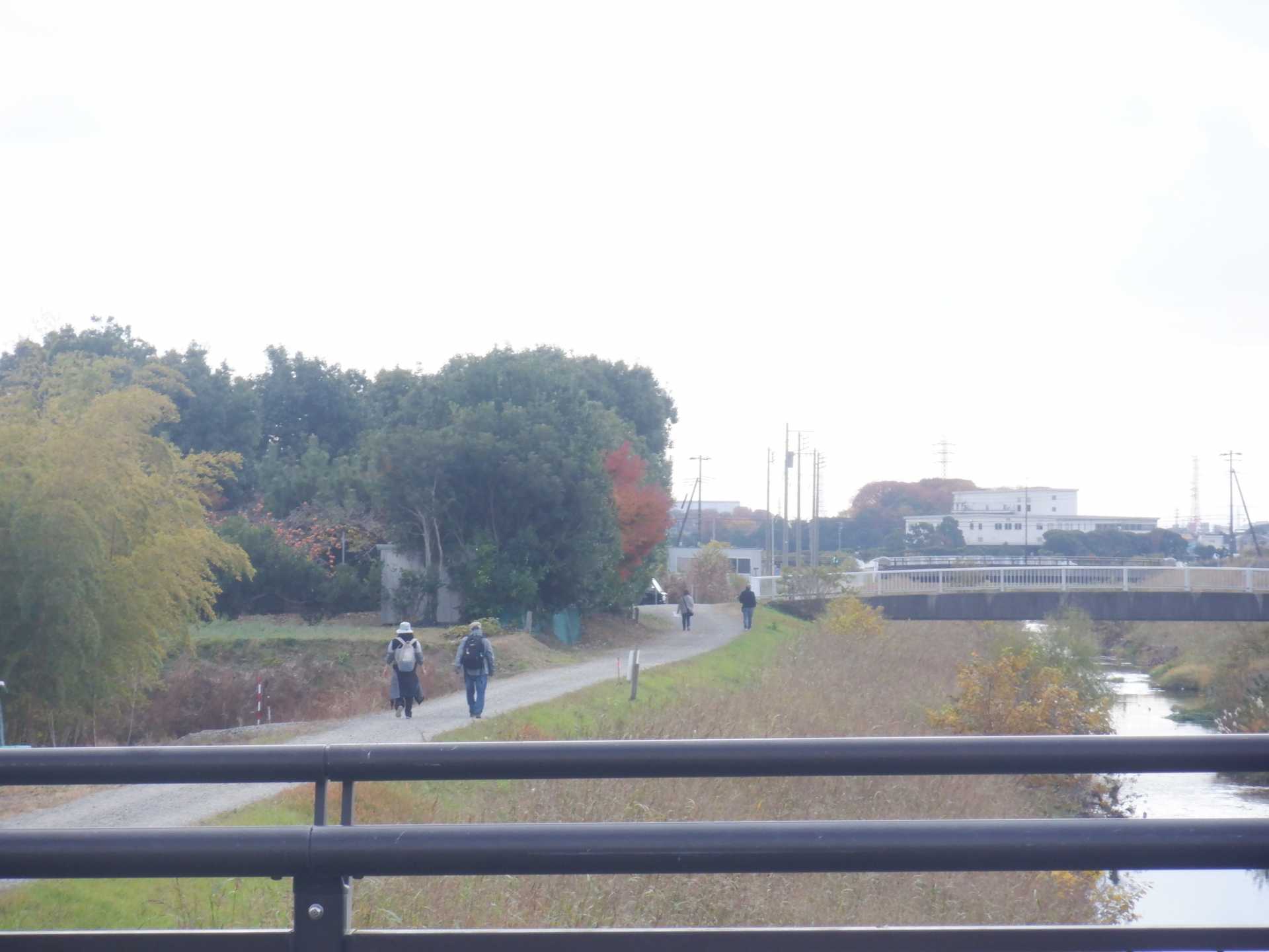 目久尻川ふれあいウオーク