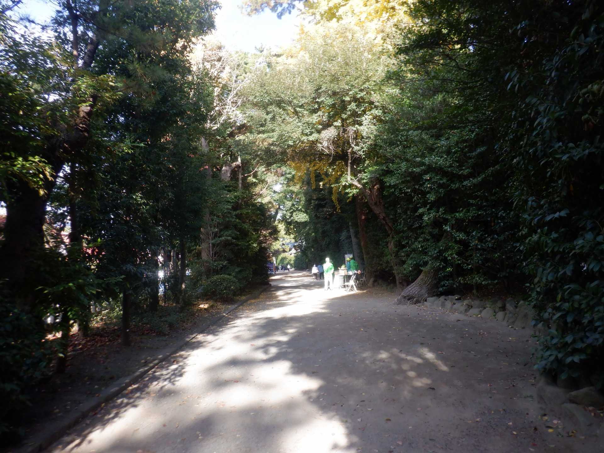 目久尻川ふれあいウオーク